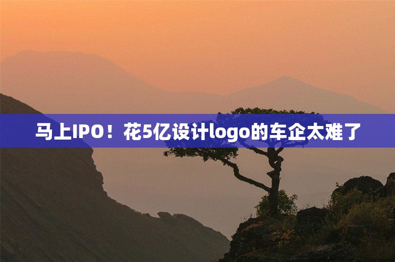 马上IPO！花5亿设计logo的车企太难了