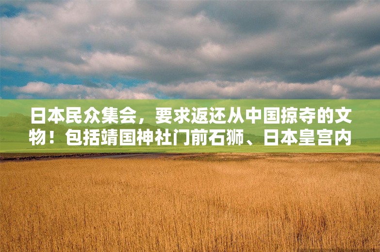 日本民众集会，要求返还从中国掠夺的文物！包括靖国神社门前石狮、日本皇宫内的唐朝刻石等！学者：不归还是因为没反省