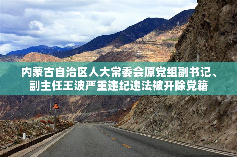 内蒙古自治区人大常委会原党组副书记、副主任王波严重违纪违法被开除党籍