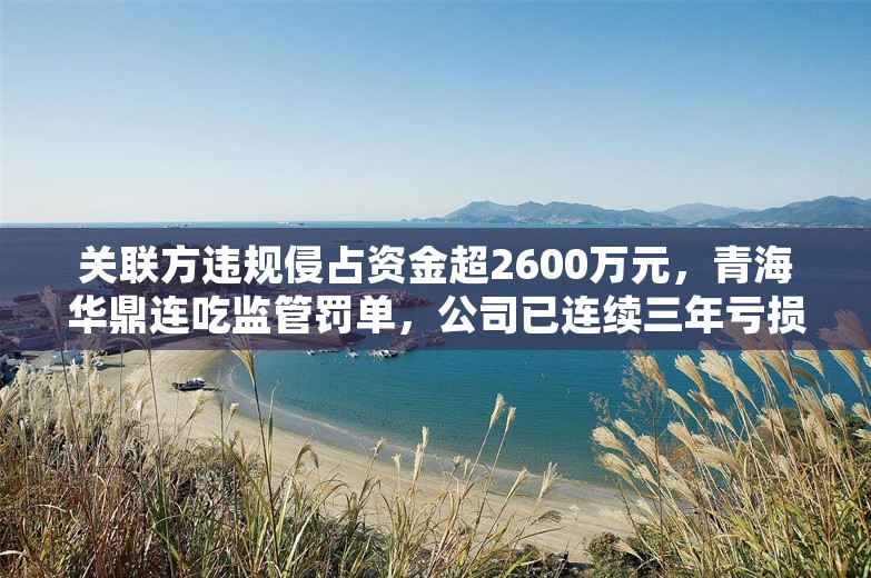 关联方违规侵占资金超2600万元，青海华鼎连吃监管罚单，公司已连续三年亏损