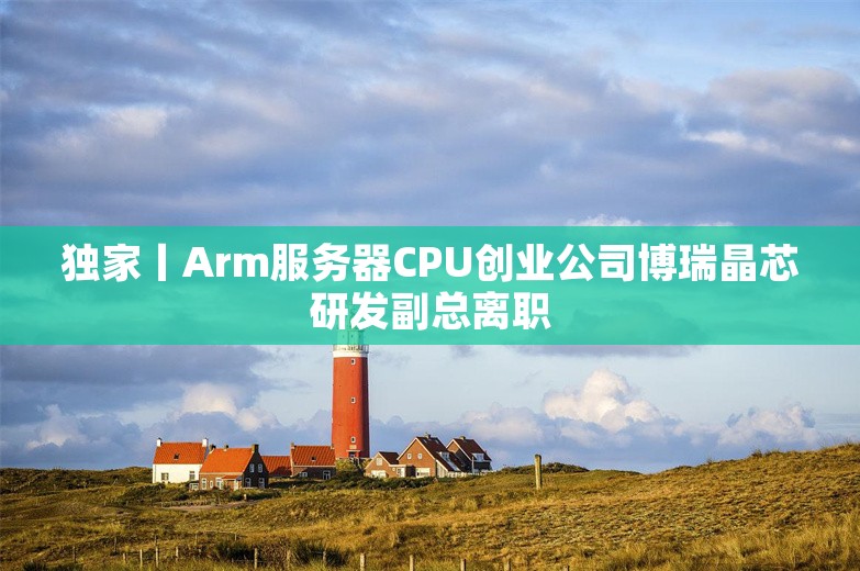 独家丨Arm服务器CPU创业公司博瑞晶芯研发副总离职