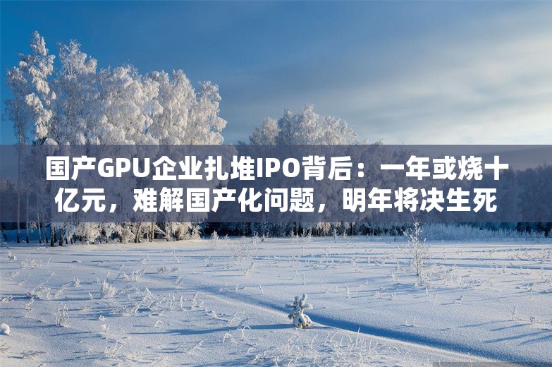 国产GPU企业扎堆IPO背后：一年或烧十亿元，难解国产化问题，明年将决生死