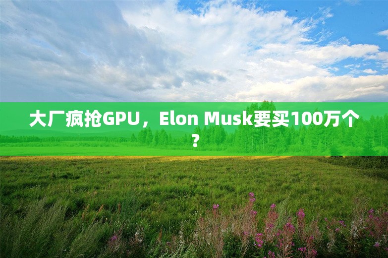 大厂疯抢GPU，Elon Musk要买100万个？