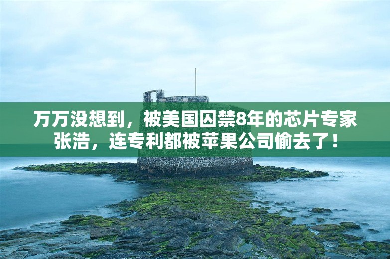 万万没想到，被美国囚禁8年的芯片专家张浩，连专利都被苹果公司偷去了！