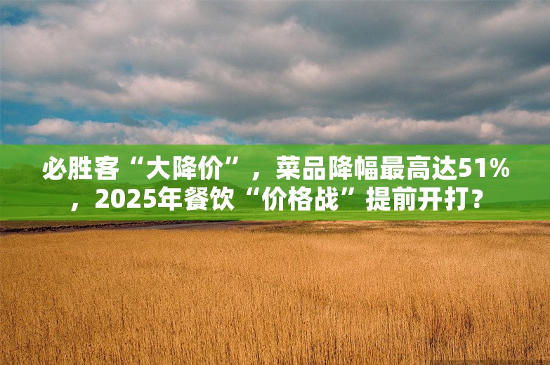 必胜客“大降价”，菜品降幅最高达51%，2025年餐饮“价格战”提前开打？