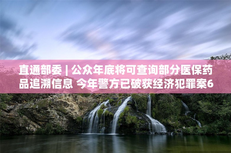 直通部委 | 公众年底将可查询部分医保药品追溯信息 今年警方已破获经济犯罪案6.2万起