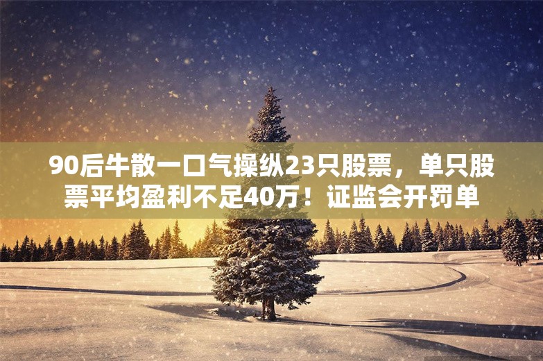 90后牛散一口气操纵23只股票，单只股票平均盈利不足40万！证监会开罚单