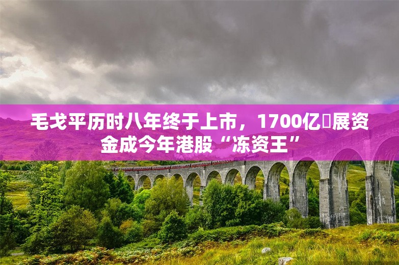 毛戈平历时八年终于上市，1700亿孖展资金成今年港股“冻资王”