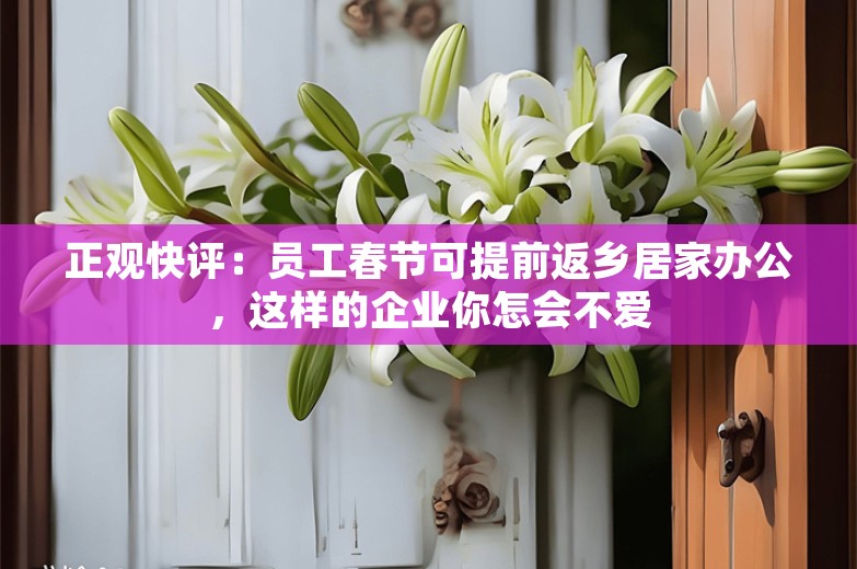 正观快评：员工春节可提前返乡居家办公，这样的企业你怎会不爱