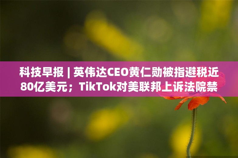 科技早报 | 英伟达CEO黄仁勋被指避税近80亿美元；TikTok对美联邦上诉法院禁令发表声明