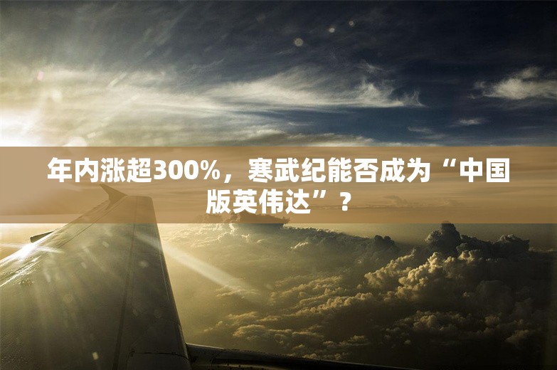 年内涨超300%，寒武纪能否成为“中国版英伟达”？