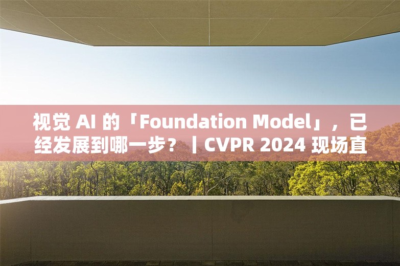 视觉 AI 的「Foundation Model」，已经发展到哪一步？丨CVPR 2024 现场直击