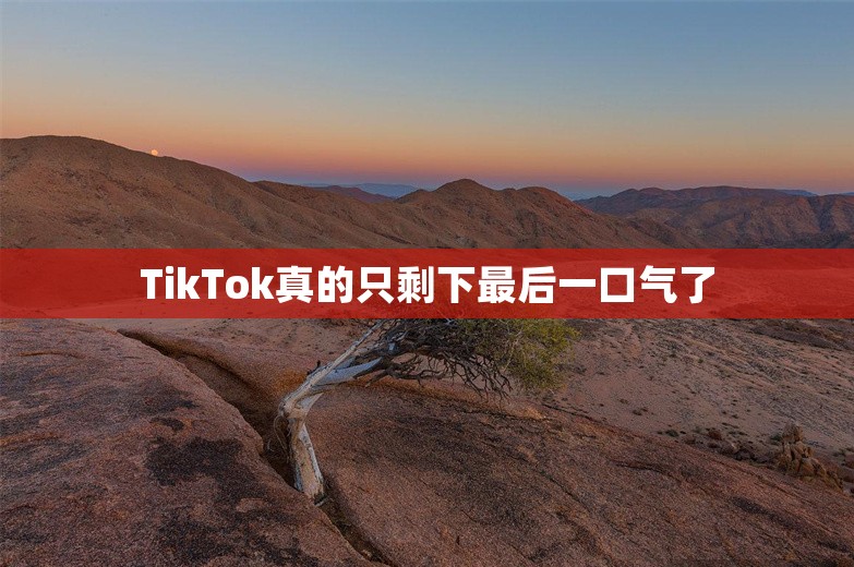 TikTok真的只剩下最后一口气了