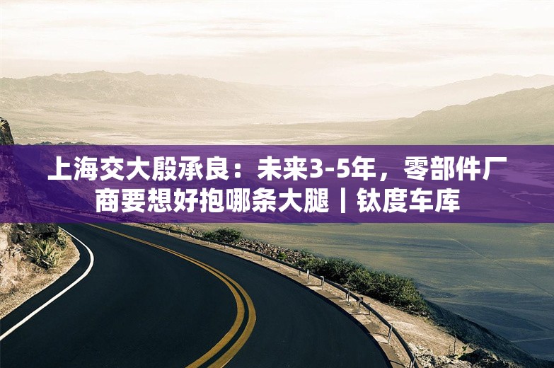 上海交大殷承良：未来3-5年，零部件厂商要想好抱哪条大腿｜钛度车库