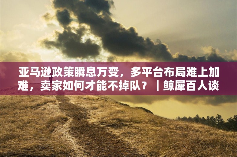 亚马逊政策瞬息万变，多平台布局难上加难，卖家如何才能不掉队？｜鲸犀百人谈