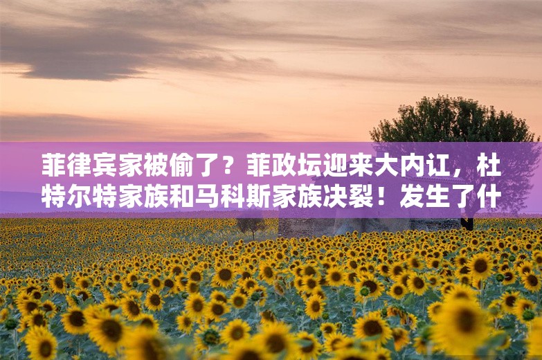 菲律宾家被偷了？菲政坛迎来大内讧，杜特尔特家族和马科斯家族决裂！发生了什么？