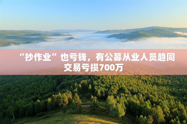 “抄作业”也亏钱，有公募从业人员趋同交易亏损700万