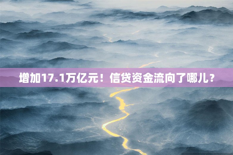 增加17.1万亿元！信贷资金流向了哪儿？