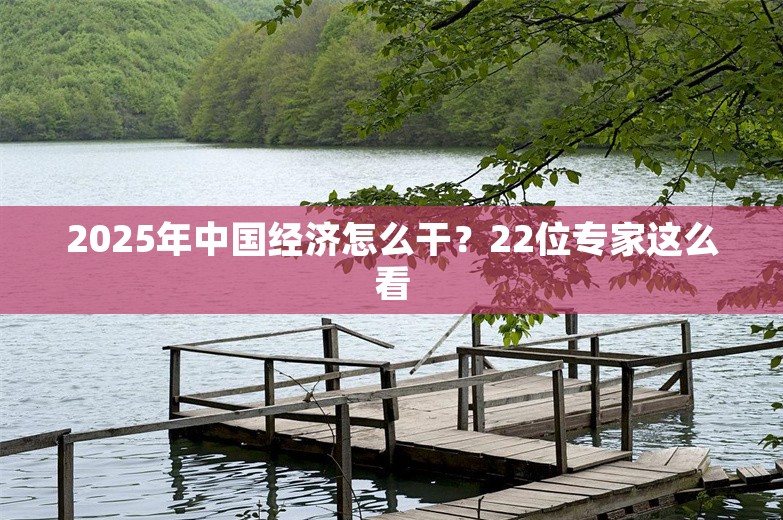 2025年中国经济怎么干？22位专家这么看