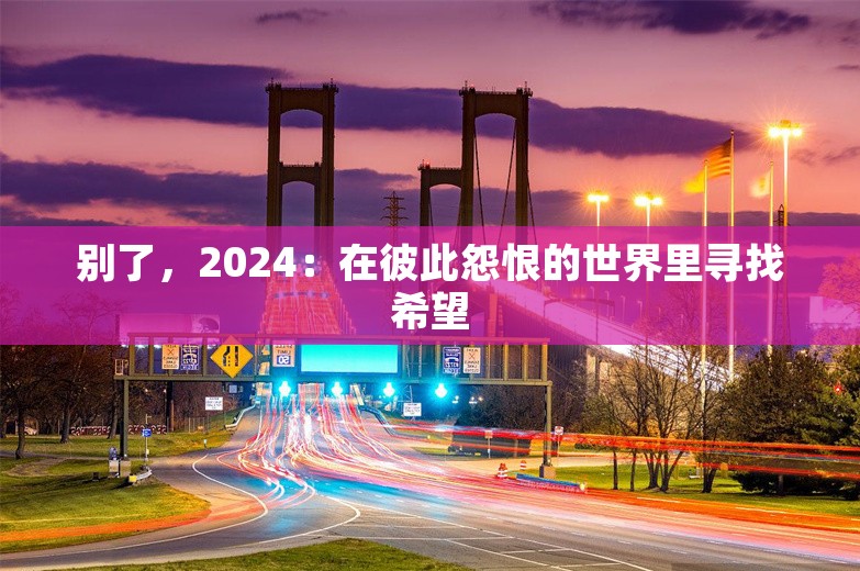 别了，2024：在彼此怨恨的世界里寻找希望