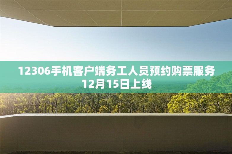 12306手机客户端务工人员预约购票服务12月15日上线