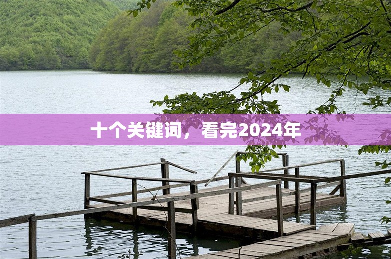 十个关键词，看完2024年