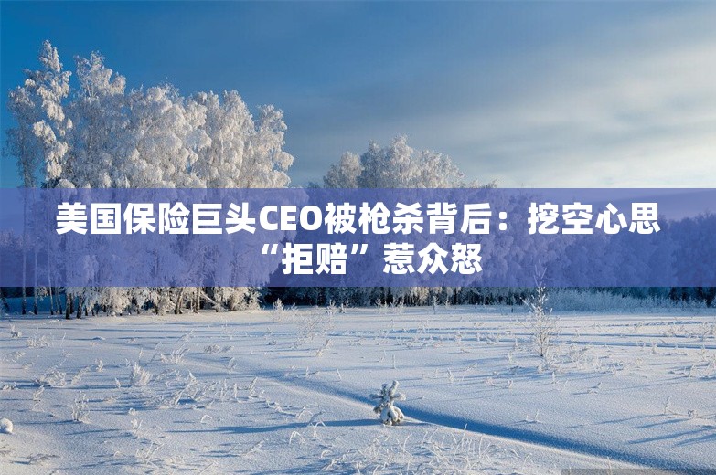 美国保险巨头CEO被枪杀背后：挖空心思“拒赔”惹众怒