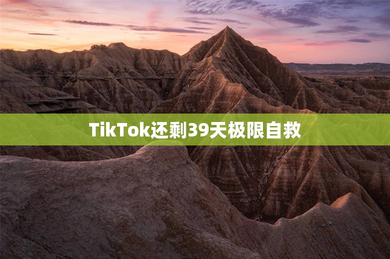 TikTok还剩39天极限自救