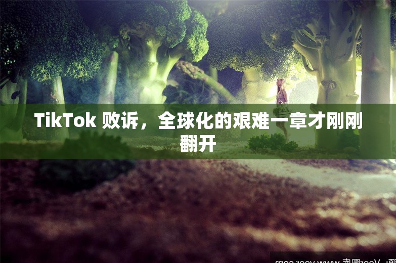 TikTok 败诉，全球化的艰难一章才刚刚翻开