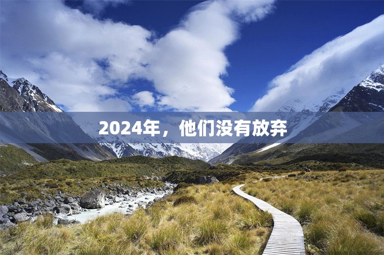 2024年，他们没有放弃