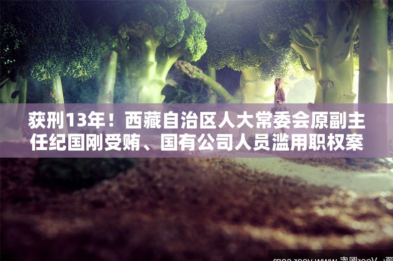 获刑13年！西藏自治区人大常委会原副主任纪国刚受贿、国有公司人员滥用职权案宣判