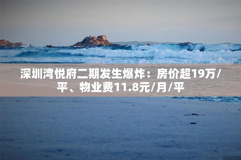 深圳湾悦府二期发生爆炸：房价超19万/平、物业费11.8元/月/平