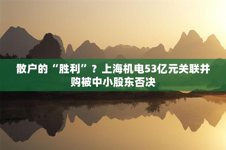 散户的“胜利”？上海机电53亿元关联并购被中小股东否决