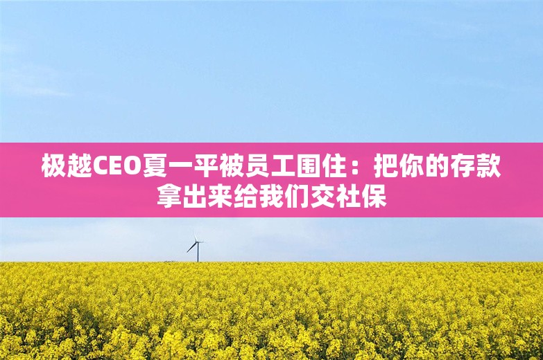 极越CEO夏一平被员工围住：把你的存款拿出来给我们交社保