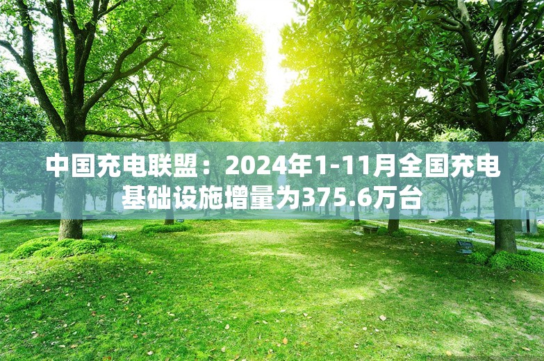 中国充电联盟：2024年1-11月全国充电基础设施增量为375.6万台