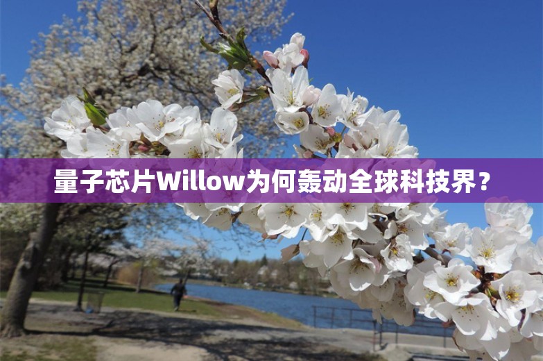 量子芯片Willow为何轰动全球科技界？