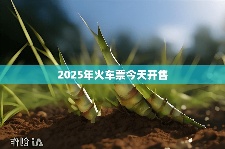 2025年火车票今天开售