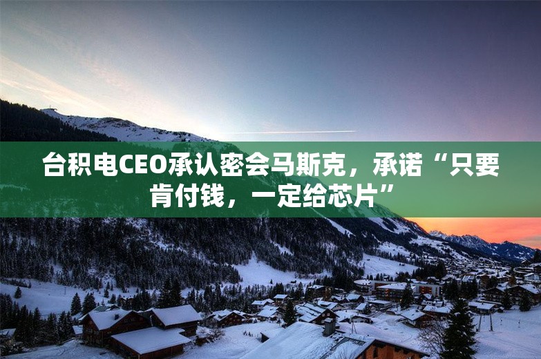 台积电CEO承认密会马斯克，承诺“只要肯付钱，一定给芯片”