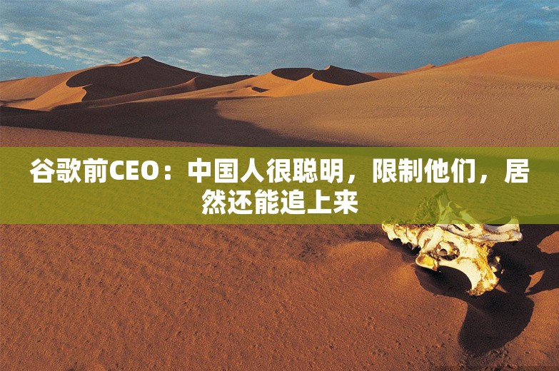 谷歌前CEO：中国人很聪明，限制他们，居然还能追上来