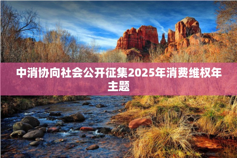 中消协向社会公开征集2025年消费维权年主题