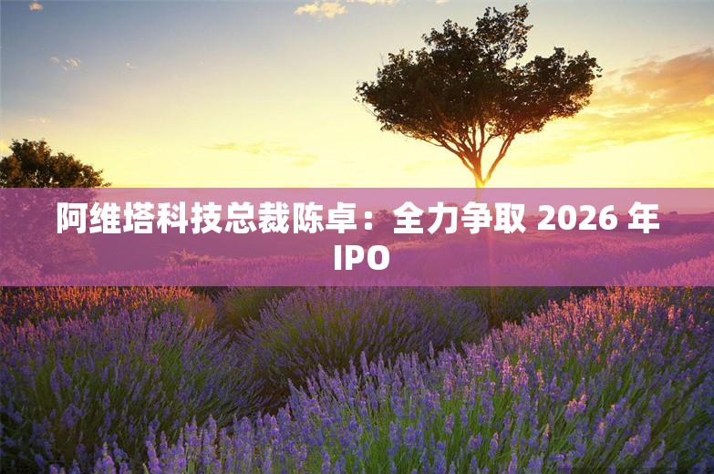 阿维塔科技总裁陈卓：全力争取 2026 年 IPO