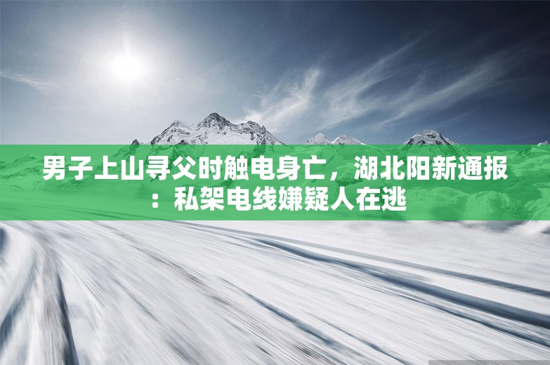 男子上山寻父时触电身亡，湖北阳新通报：私架电线嫌疑人在逃