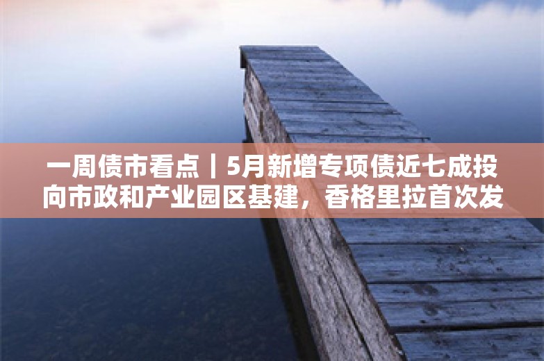 一周债市看点｜5月新增专项债近七成投向市政和产业园区基建，香格里拉首次发行熊猫债券