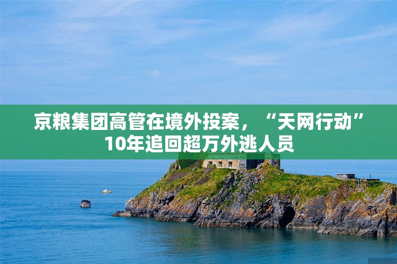 京粮集团高管在境外投案，“天网行动”10年追回超万外逃人员