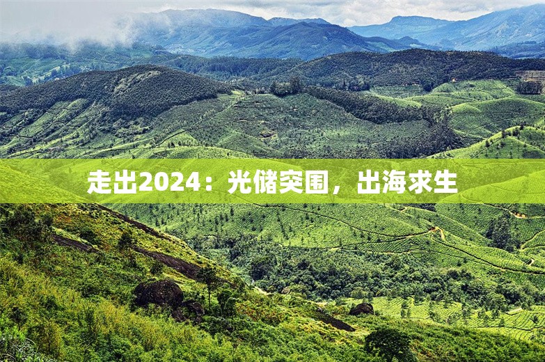 走出2024：光储突围，出海求生