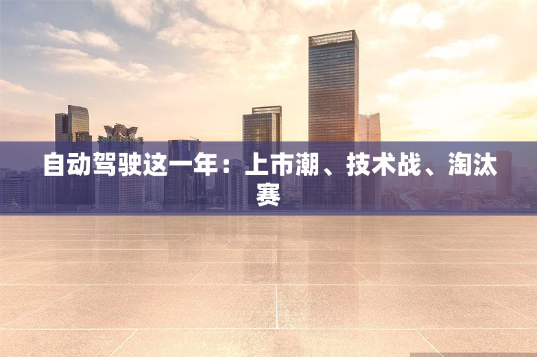 自动驾驶这一年：上市潮、技术战、淘汰赛