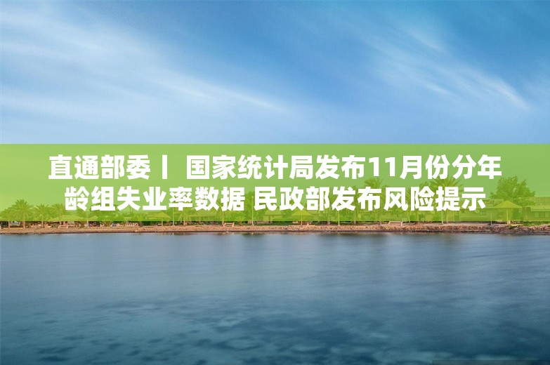 直通部委丨 国家统计局发布11月份分年龄组失业率数据 民政部发布风险提示