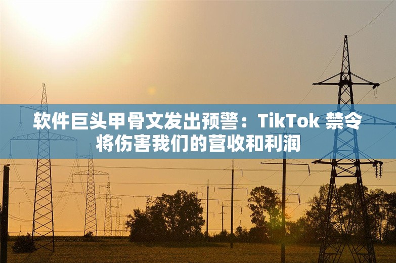 软件巨头甲骨文发出预警：TikTok 禁令将伤害我们的营收和利润