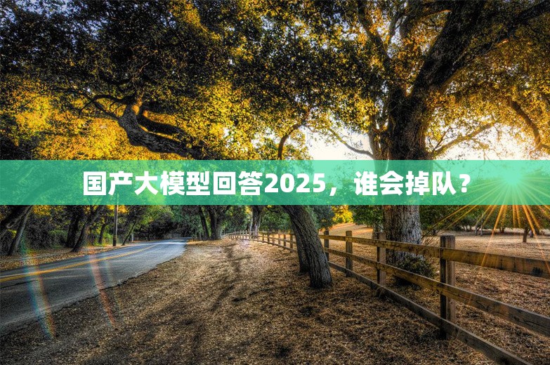 国产大模型回答2025，谁会掉队？