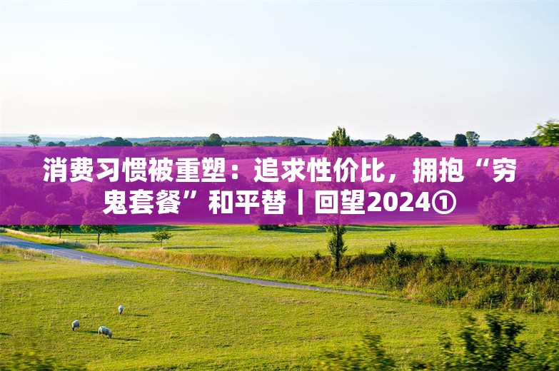 消费习惯被重塑：追求性价比，拥抱“穷鬼套餐”和平替｜回望2024①